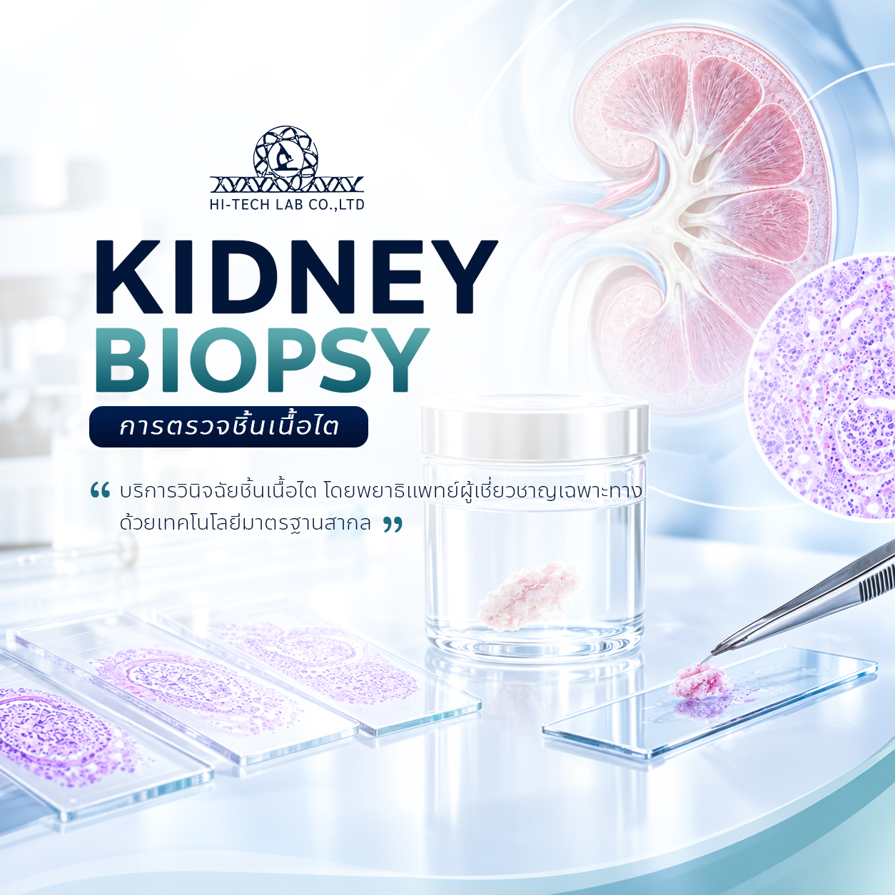 อัปเดตบริการตรวจชิ้นเนื้อไต (Kidney Biopsy) พร้อมอัตราค่าบริการ